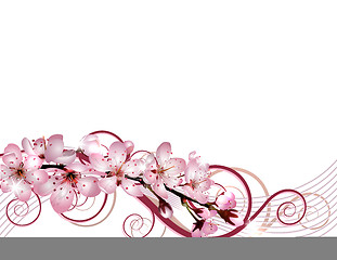 Image showing Blossoming sakura cherry branch with pink flowers