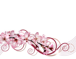 Image showing Blossoming sakura cherry branch with pink flowers