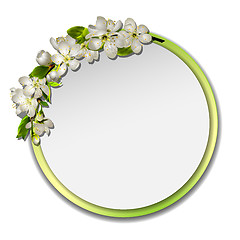 Image showing Spring round frame with cherry branch blossom.