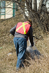 Image showing Spring Clean-up