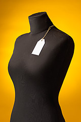 Image showing The empty dummy, sale price tag hanging from the button hole.