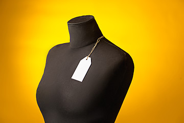 Image showing The empty dummy, sale price tag hanging from the button hole.