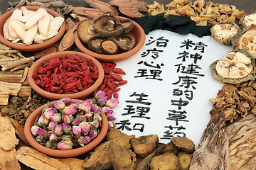 Image showing Traditional Ancient Chinese Medicine