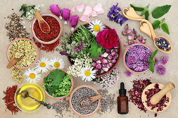 Image showing Herbal Medicine Preparation 