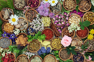 Image showing Herbal Medicine Background  