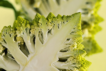 Image showing A half of a Romanesco broccoli (also known as Roman cauliflower)