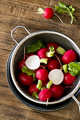 Image showing Several red radishes in a sieve