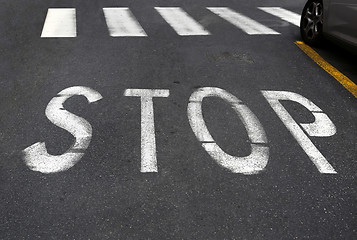 Image showing City crosswalk with symbol stop