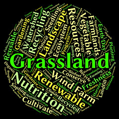 Image showing Grassland Word Means Grasslands Grassy And Field