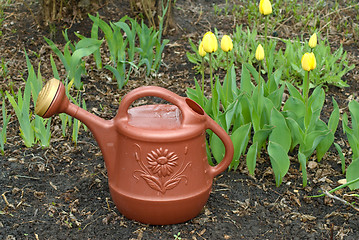 Image showing Watering Can