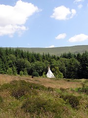 Image showing Wigwam In A Field