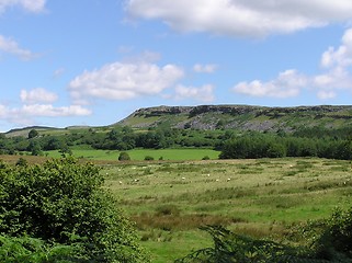 Image showing Welsh Scene