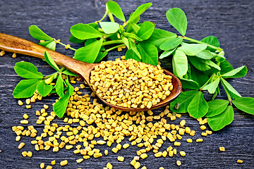 Image showing Fenugreek with leaf in spoon on black board