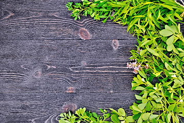 Image showing Frame of spicy grass on black board