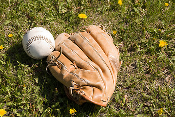 Image showing Baseball And Glove