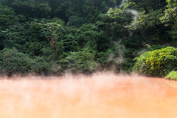 Image showing Blood Hell Hot Springs at Beppu