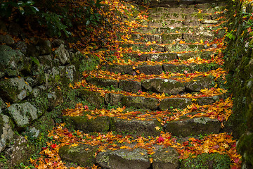 Image showing Rock stone step with maple leaves