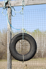 Image showing Tire Swing