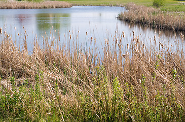 Image showing Pond