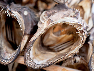 Image showing dry fish