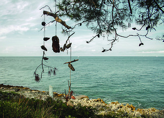 Image showing Sea with dream catcher on the tree
