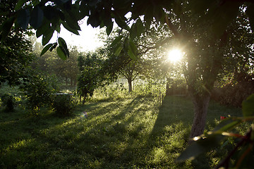 Image showing Landscape with forest, trees and sun