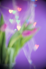 Image showing Defocused tulips and bokeh light hearts