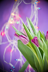 Image showing Tulips over ultra violet background