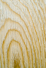 Image showing Close-up Wood Grain