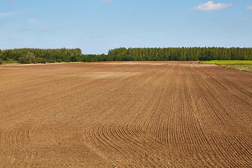 Image showing Agircutural field with brown soil