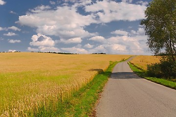 Image showing Road through farmlands