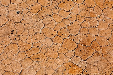 Image showing Dry Soil Texture