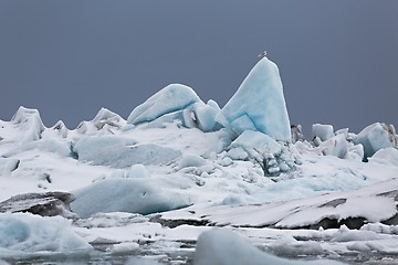 Image showing Glacial lake in Iceland