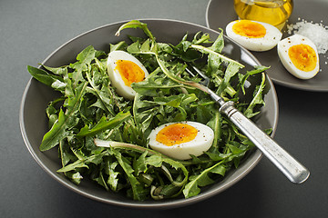 Image showing Dandelion salad