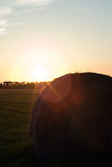 Image showing Farm Sunset