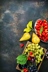 Image showing autumn fruits