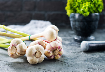 Image showing garlic