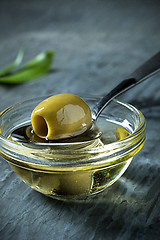 Image showing Olive oil and olive branch on the wooden table