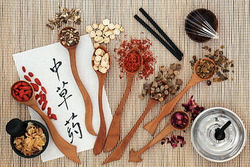 Image showing Chinese Herbs and Acupuncture Therapy