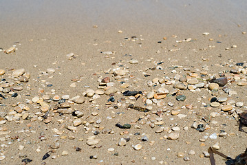 Image showing Rocks On The Beach