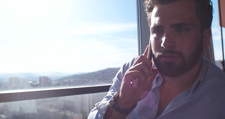 Image showing Business Man Talking On Cell Phone At Home