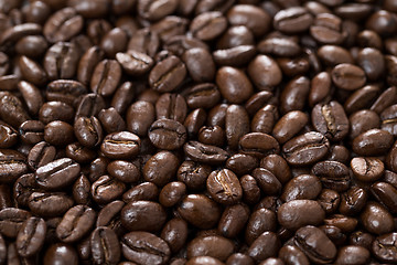 Image showing Roasted coffee bean