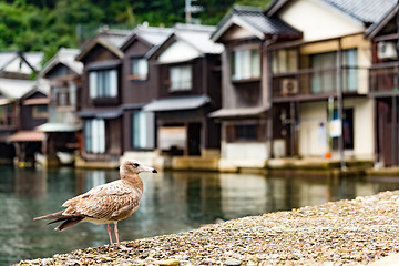 Image showing Ine cho in Kyoto