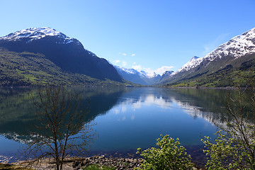 Image showing A wonderful beautiful spring day in Loen in Sogn with green tree