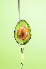 Image showing Fresh avocado and oil on green background