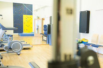 Image showing Physiotherapy