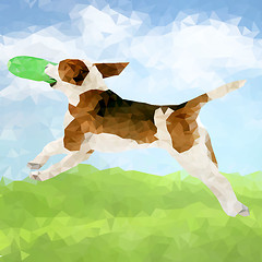 Image showing Poly Dog Outdoors-02