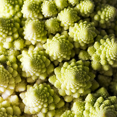 Image showing Detail of Romanesco broccoli, also known as Roman cauliflower