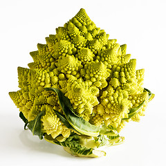 Image showing Romanesco broccoli on a white background