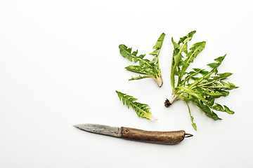 Image showing Dandelion salad